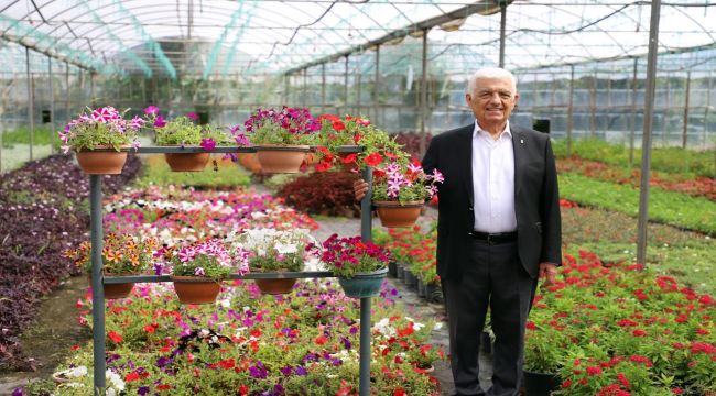 Büyükşehir Destekliyor, Muğla'nın Kadınları Çiçek Üretiyor