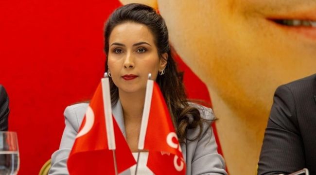 Pınar Uzun Okakın'ın, İnsansız Hava Araçları ile İlgili Cumhurbaşkanı Kararı Hakkında Yazılı Basın Açıklaması